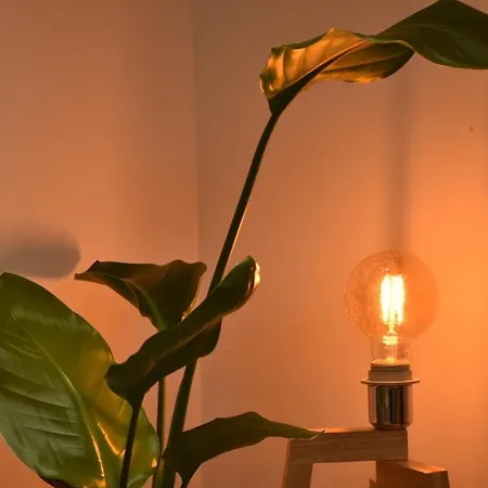 Saint-quentin-plaisance Saint-Quentin (Aisne)