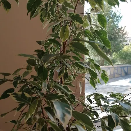 Tatil Evi Saint-quentin-plaisance